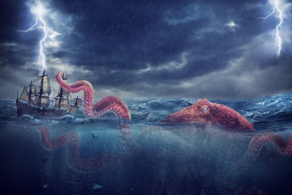 Kraken 24 top
