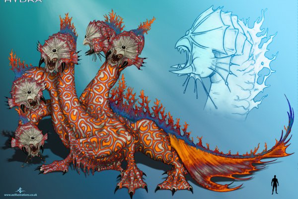 Kraken 21at
