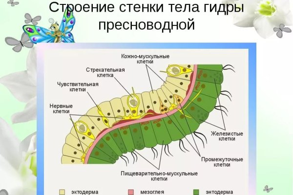 Ссылка на кракен тг
