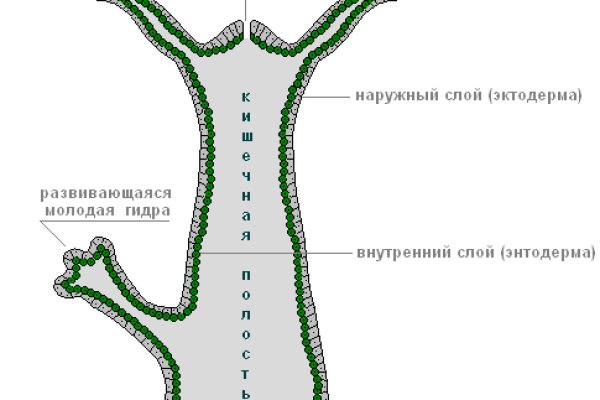 Кракен 16 at