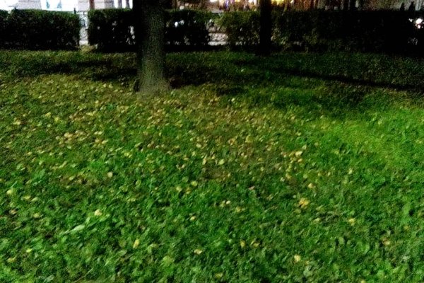 Кракен шоп что это