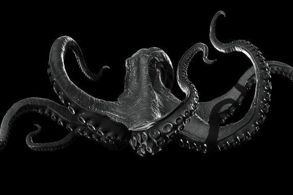 Kraken url