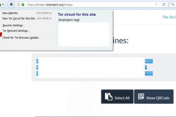 Kraken tor зеркало