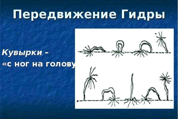 Ссылка в магазин на кракен