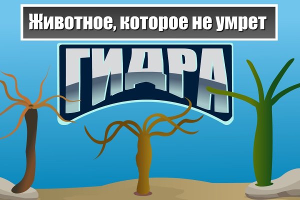 Даркнет сайт скачать