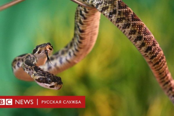 Кракен почему не заходит
