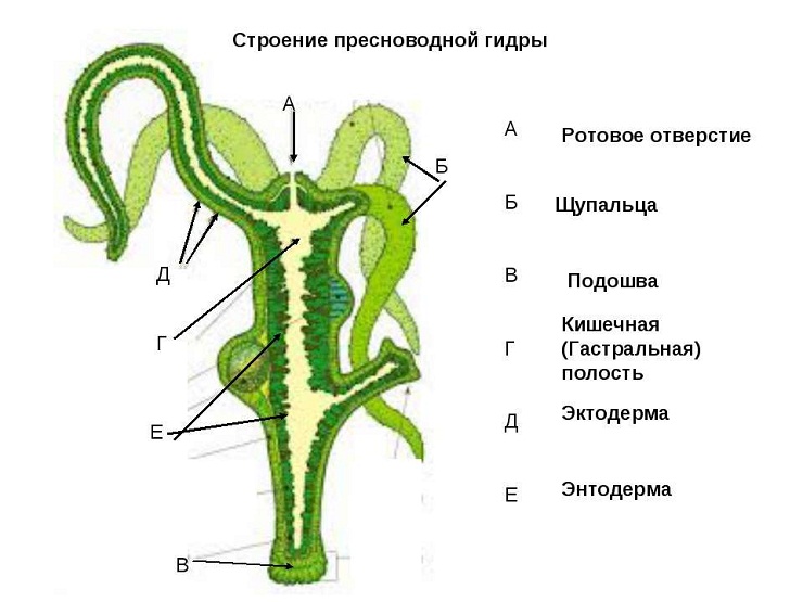 Кракен ссылка официальная